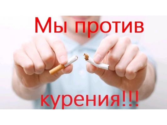 4adea4ab-e061-53a5-970a-85476144a2a9