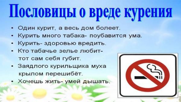 not-smoke-2020-35